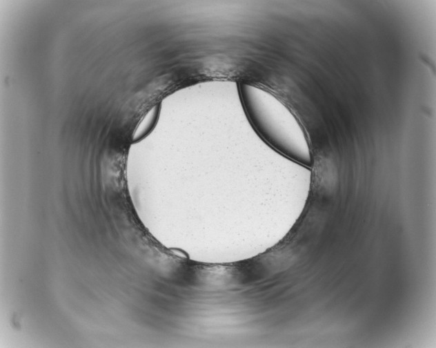 X0000102020237200808151323