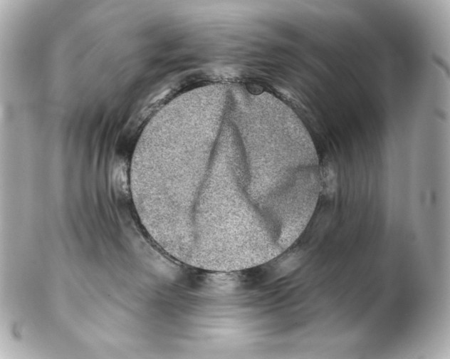 X0000102020238200808151323