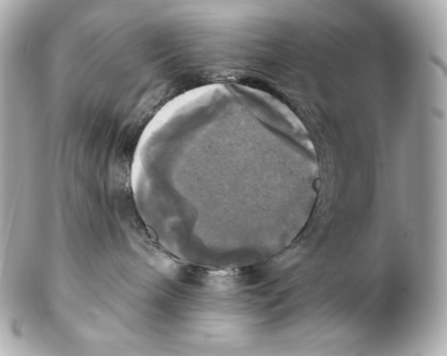 X0000102020240200808151323
