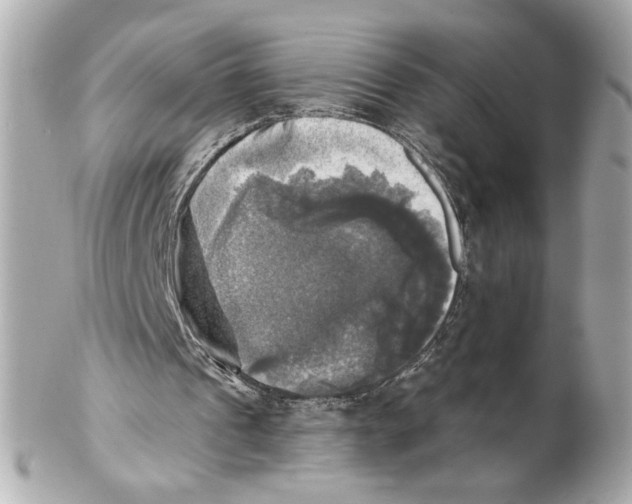 X0000102020241200808151322