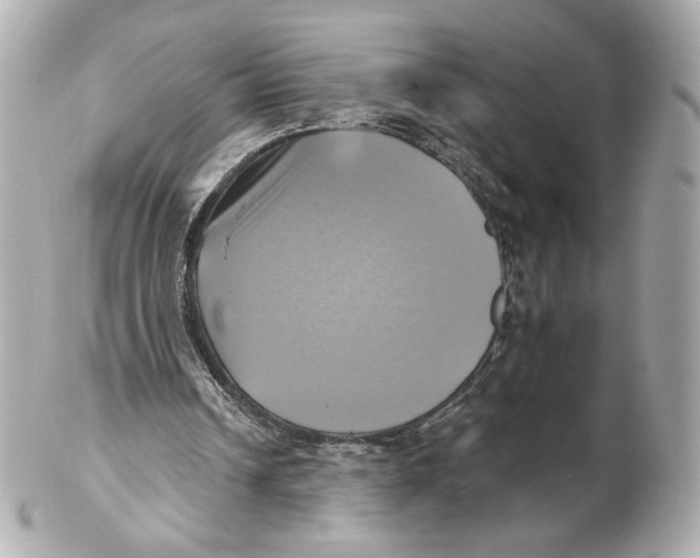 X0000102020242200808151322
