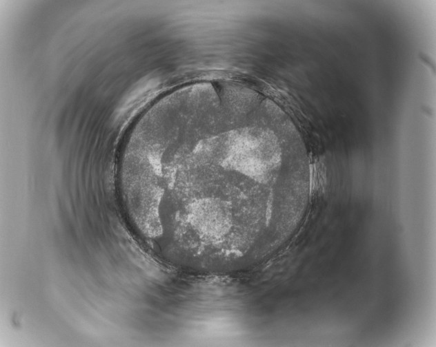 X0000102020243200808151322
