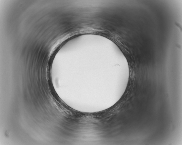X0000102020244200808151322