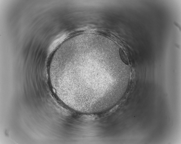 X0000102020245200808151322
