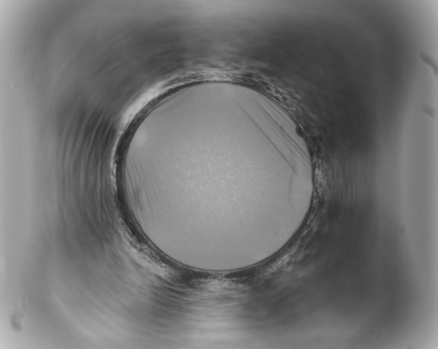 X0000102020246200808151322