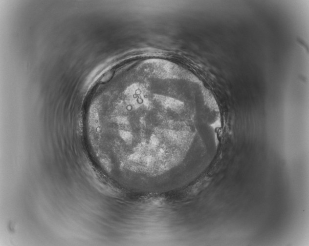 X0000102020247200808151322