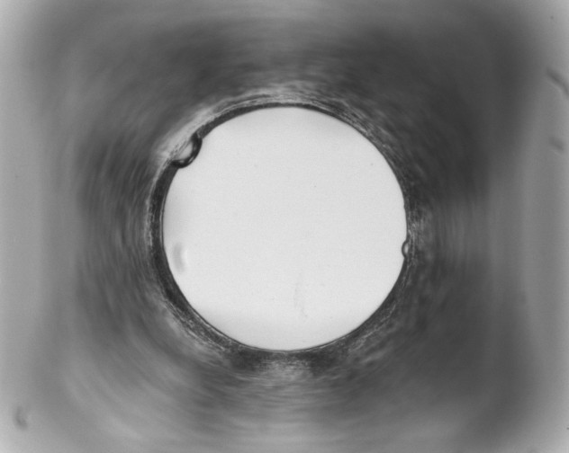 X0000102020248200808151322