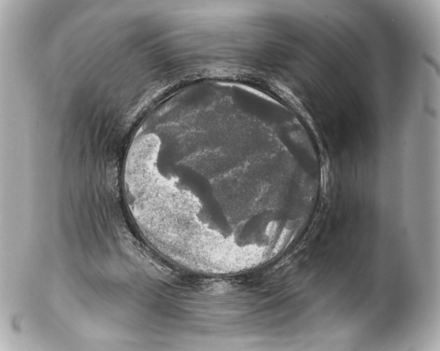 X0000102020249200808151322
