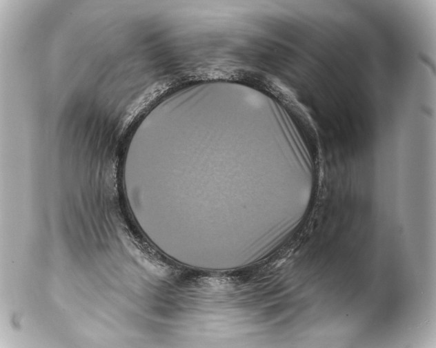 X0000102020250200808151322