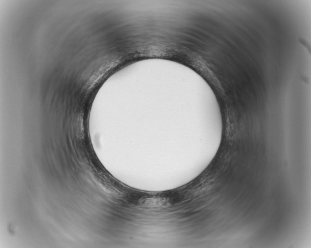 X0000102020251200808151322