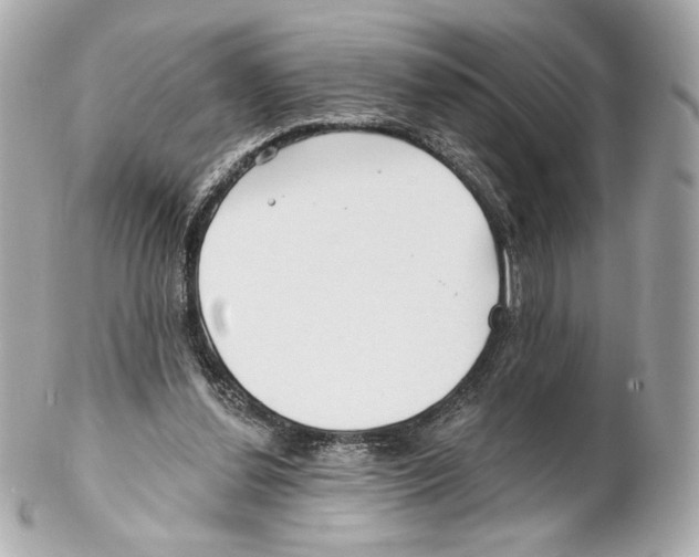 X0000102020252200808151322