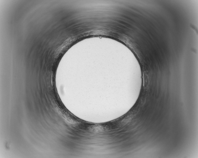X0000102020253200808151322