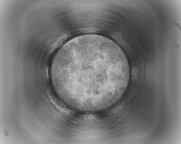 X0000102020254200808151322