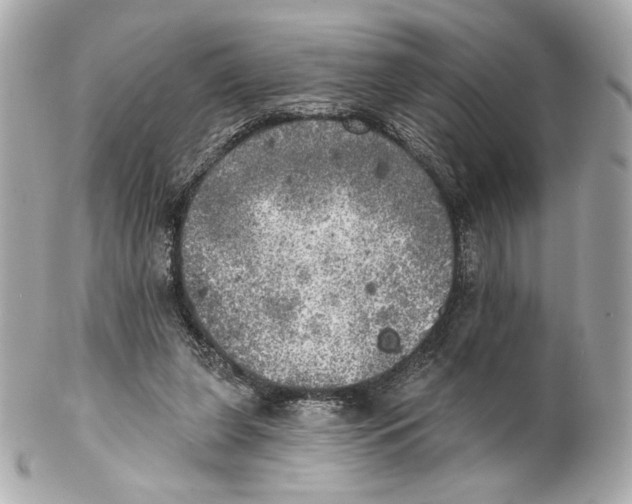 X0000102020255200808151322