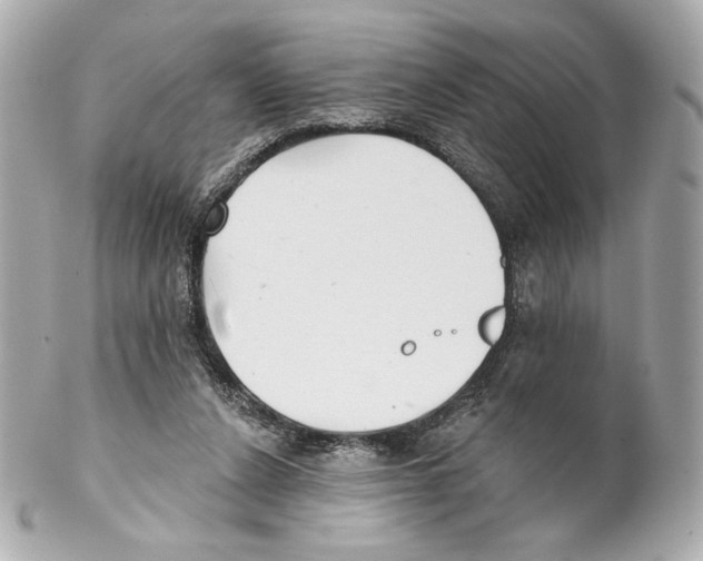 X0000102020256200808151322