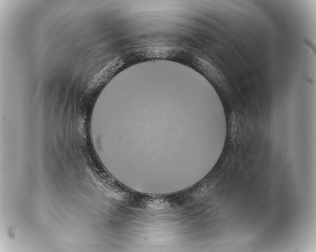X0000102020258200808151322