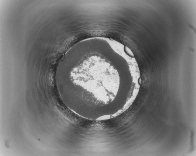 X0000102020259200808151322