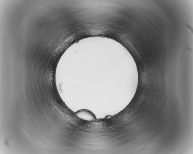 X0000102020260200808151322