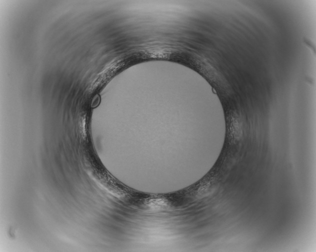 X0000102020262200808151322
