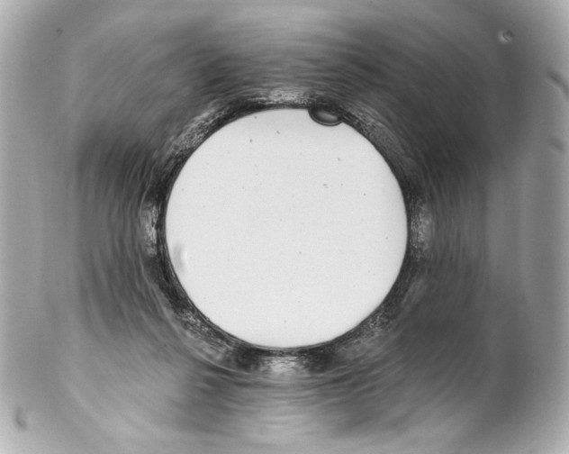 X0000102020264200808151322