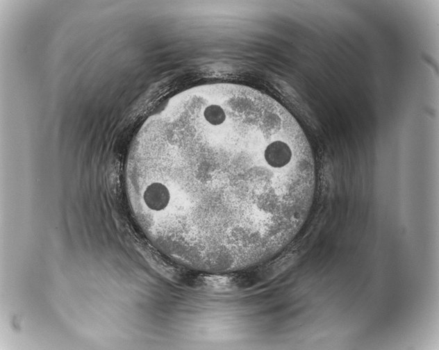X0000102020265200808151322