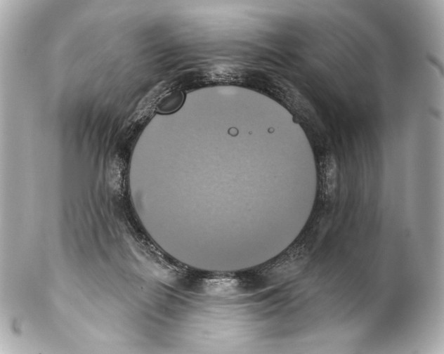 X0000102020266200808151322