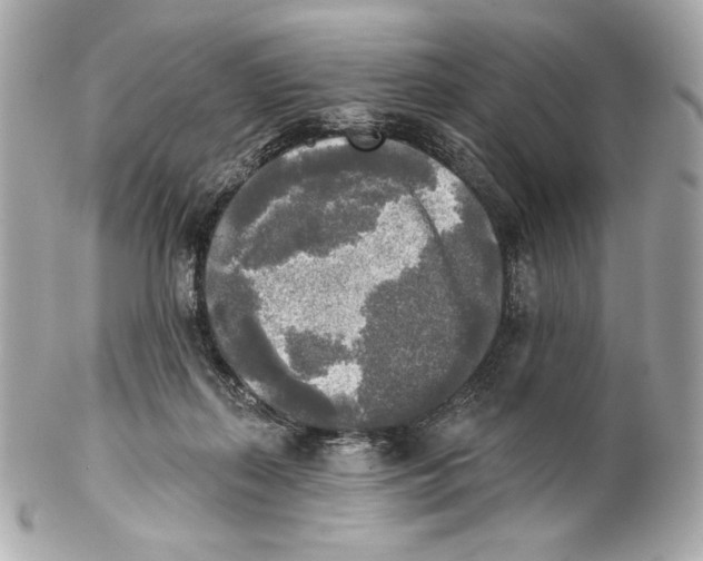 X0000102020267200808151322