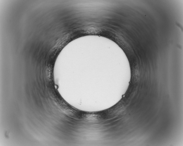 X0000102020268200808151322