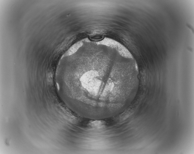 X0000102020269200808151322
