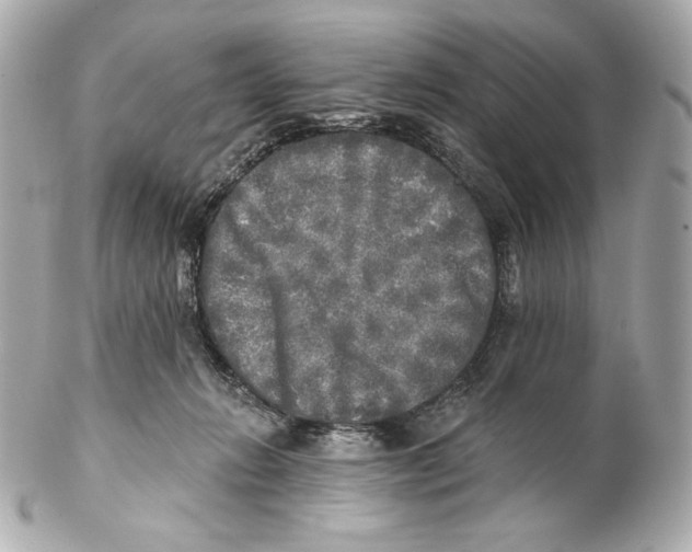 X0000102020270200808151322