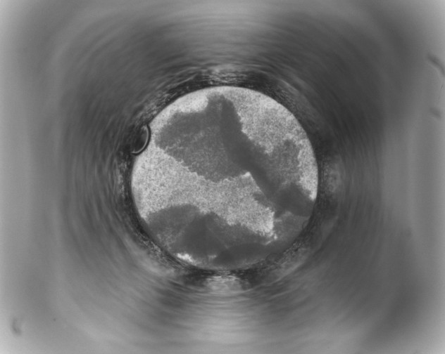 X0000102020271200808151322