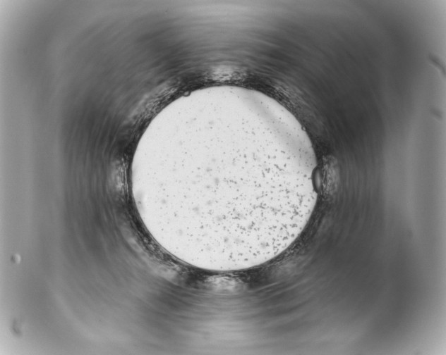 X0000102020272200808151322