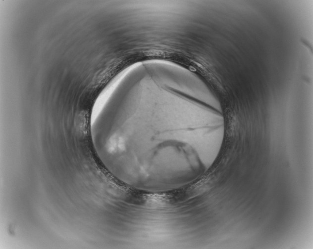 X0000102020273200808151322
