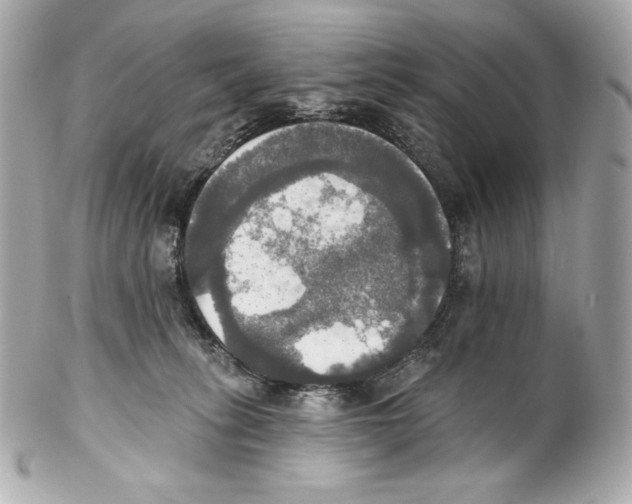 X0000102020275200808151322