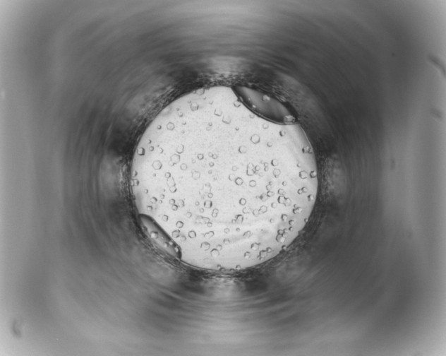 X0000102020276200808151322