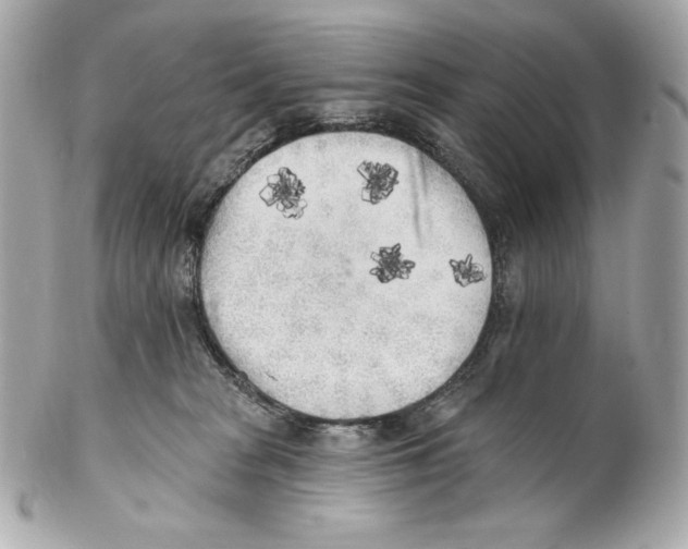 X0000102020277200808151322