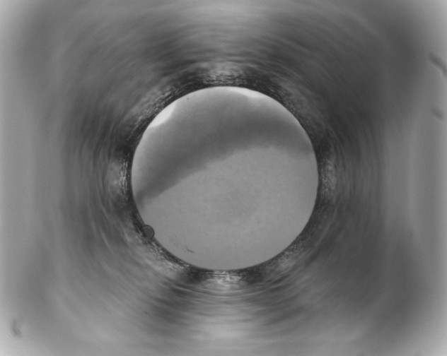 X0000102020278200808151322