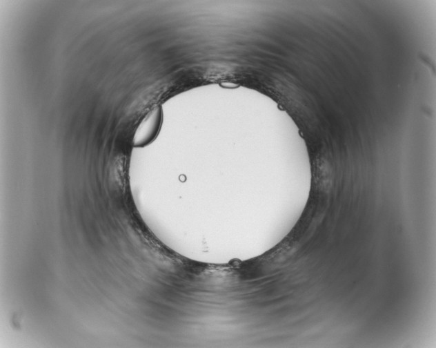 X0000102020280200808151323