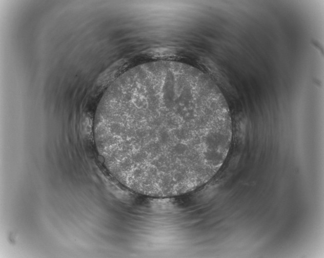 X0000102020281200808151323