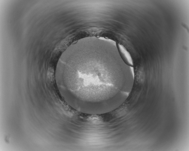 X0000102020283200808151323