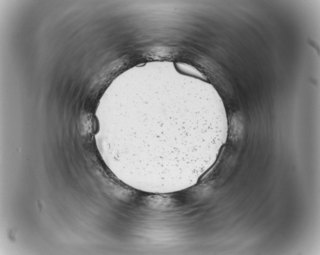 X0000102020284200808151323