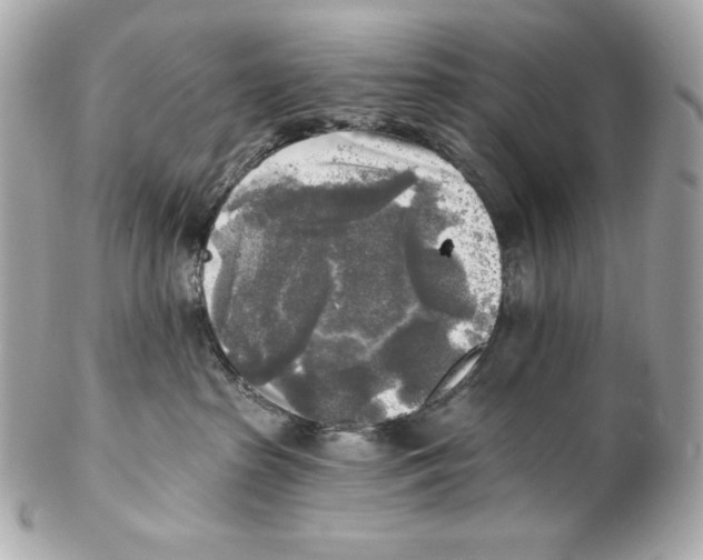 X0000102020285200808151323