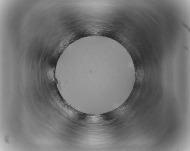 X0000102020286200808151323