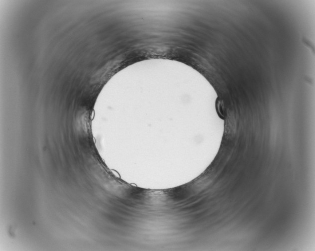 X0000102020287200808151323