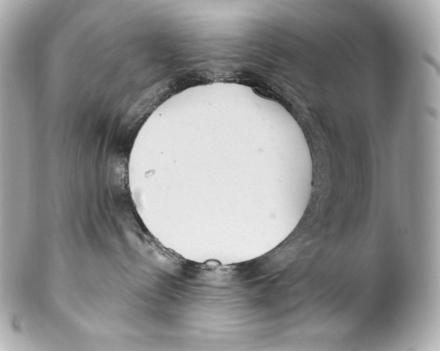 X0000102020288200808151323