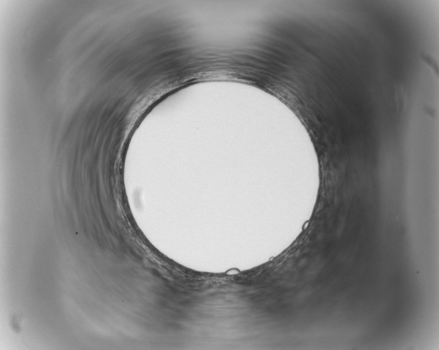 X0000102020289200808151322