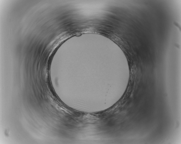X0000102020290200808151322