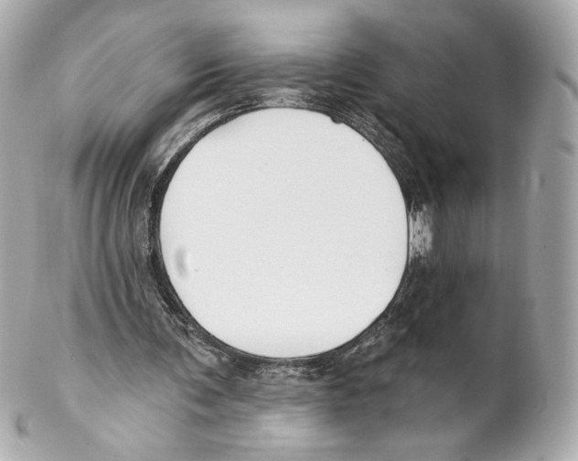 X0000102020291200808151322