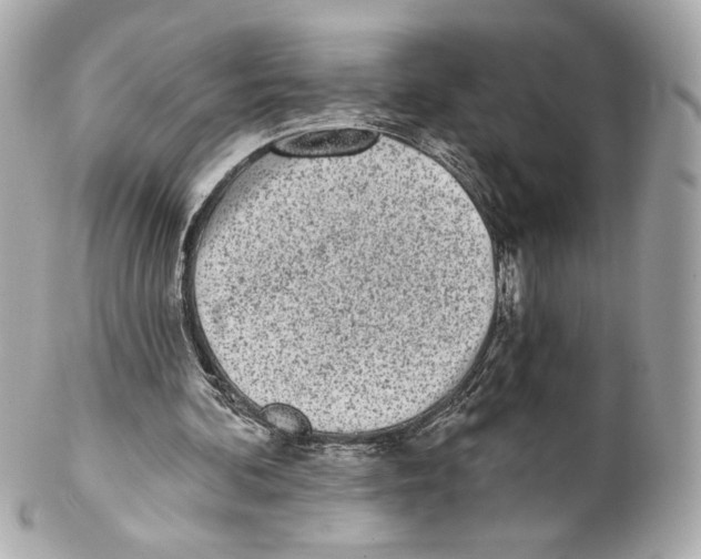 X0000102020292200808151322