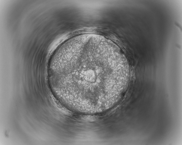 X0000102020293200808151322